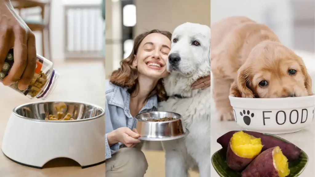 Can Puppies Eat Sweet Potatoes?