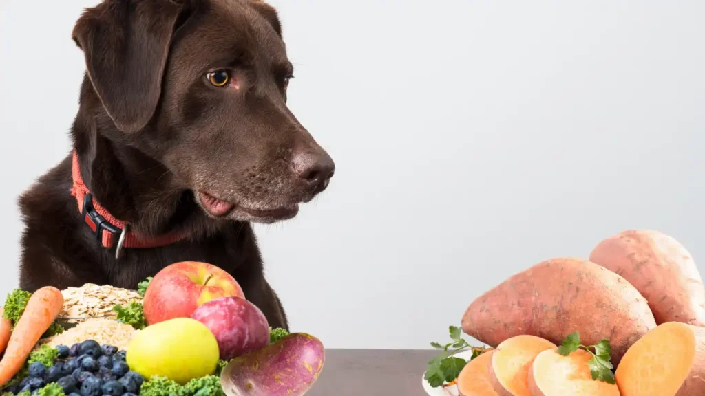 Can dogs eat sweet potatoes? -How to Prepare Sweet Potatoes for Dogs