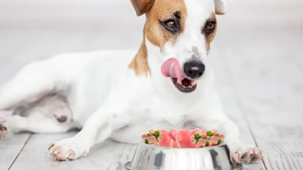 Can Dogs Eat Tuna?