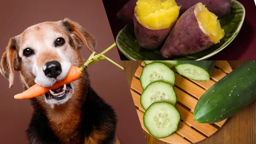 Comparing Cucumbers with Other Vegetables.