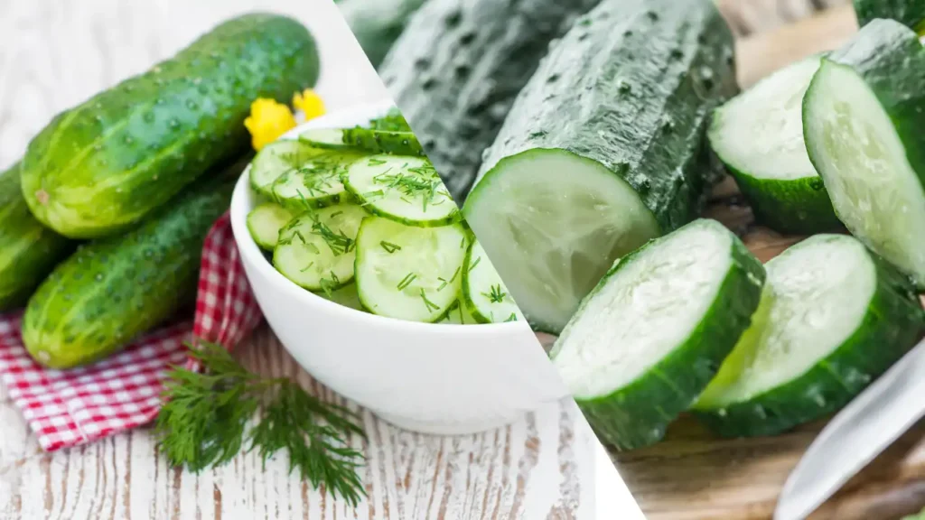 Can Dogs Eat Cucumbers and How to Serve Cucumbers to Dogs?